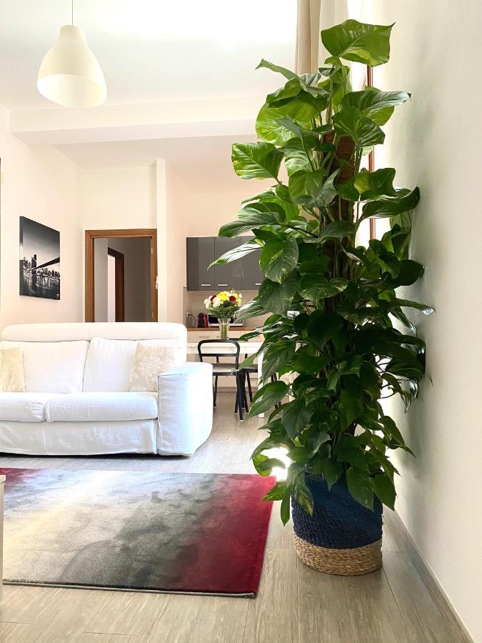Delonix Regia Olbia Appartamento Esterno foto